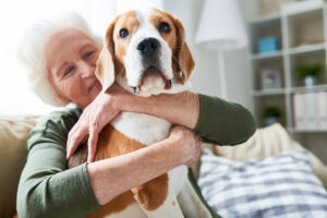 Home Care O'Fallon, MO: Pet Ownership and Seniors